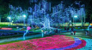 เที่ยวเชียงใหม่