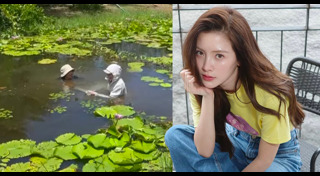 ใบเฟิร์น พิมพ์ชนก