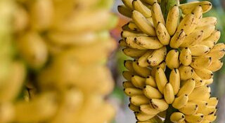 เที่ยวกำแพงเพชร