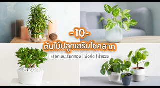 เสริมฮวงจุ้ย