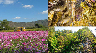 ที่เที่ยวหน้าหนาว