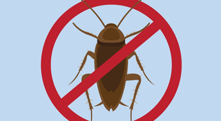 วิธีไล่แมลงสาบ