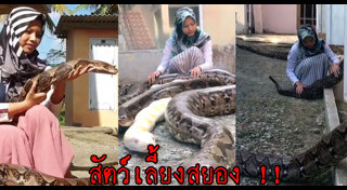 เรื่องแปลกอินโดนีเซีย