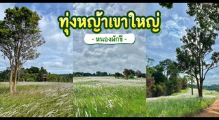 ที่เที่ยวเขาใหญ่