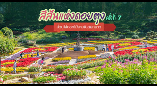 เที่ยวทุ่งดอกไม้