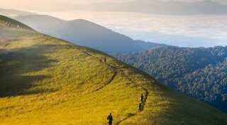 เที่ยวดอยหน้าหนาว