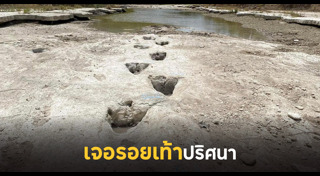 ไดโนเสาร์