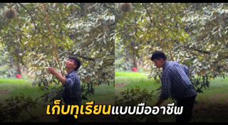 ทุเรียน