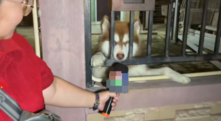 นักข่าว