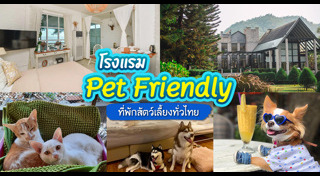 ที่พักภูชี้ฟ้า