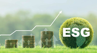 ลดหย่อนภาษี