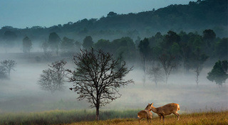 เที่ยวชัยภูมิ