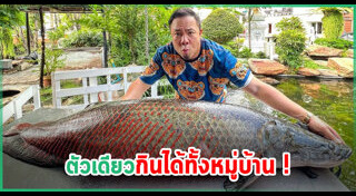 ดีเจภูมิ