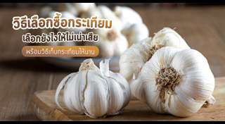 กระเทียม