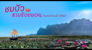 ประจวบคีรีขันธ์