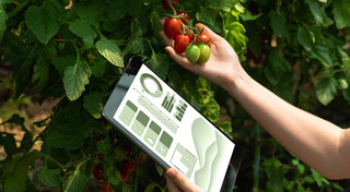 นวัตกรรม