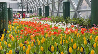 เที่ยวระยอง