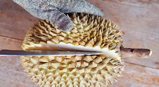 ท่องเที่ยวไทย