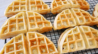 รังผึ้ง