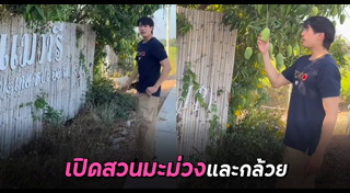 สวนผลไม้