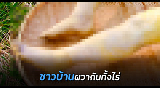 หัวไช้เท้า