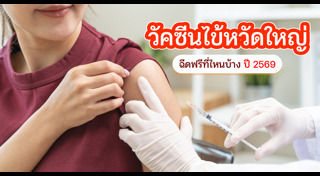 ไข้หวัดใหญ่ H1N1