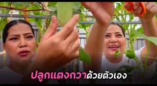 สุนารี ราชสีมา