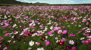 ที่เที่ยวลพบุรี