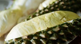 สวนผลไม้