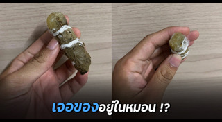 เรื่องแปลกไทย