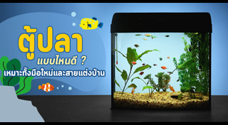 เลี้ยงสัตว์