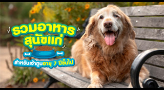 อาหารสัตว์เลี้ยง