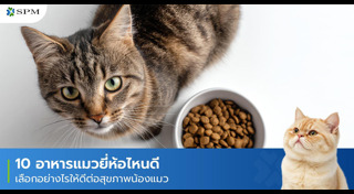 อาหารสัตว์เลี้ยง