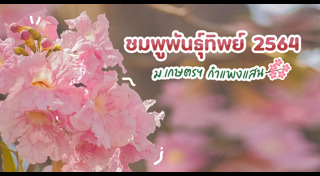 เที่ยวนครปฐม