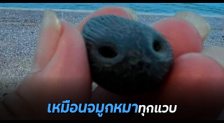 จมูก