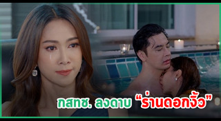 ร่านดอกงิ้ว