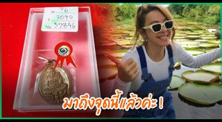 เซียนพระเครื่อง