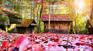 ที่เที่ยวอุทยานแห่งชาติ