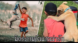 คนกับหมา