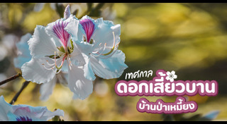 เที่ยวลำปาง