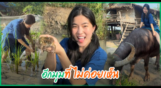 ดาราไทย