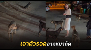 วิธีเอาตัวรอด