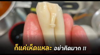 เห็ดเข็มทอง