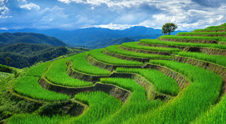 เที่ยวเดือนกรกฎาคม