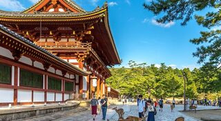 สนามบินญี่ปุ่น