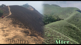 ดอยม่อนจอง