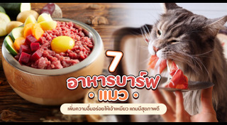 อาหารแมว