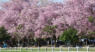 ที่เที่ยวนครปฐม