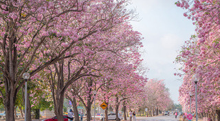 ที่เที่ยวนครปฐม