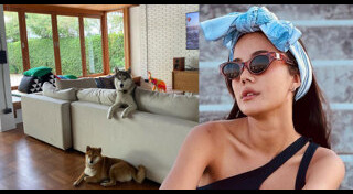 นท เดอะสตาร์